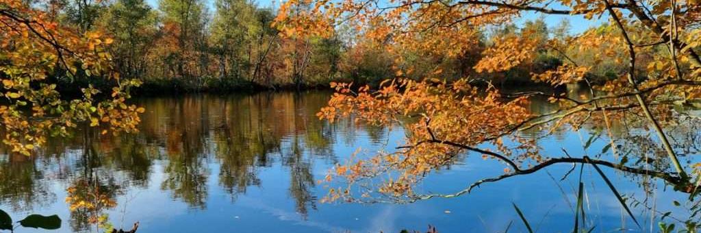 Excursie Lusthof de Haeck