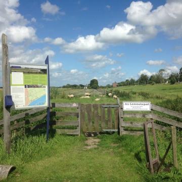 Kom natuurwandelen in Nieuwkoop, Langeraar en Nieuwveen